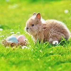 Ostern