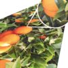 Küchenläufer waschbar Küchenteppich rutschfest Sprinty Orangen 52cm Breite