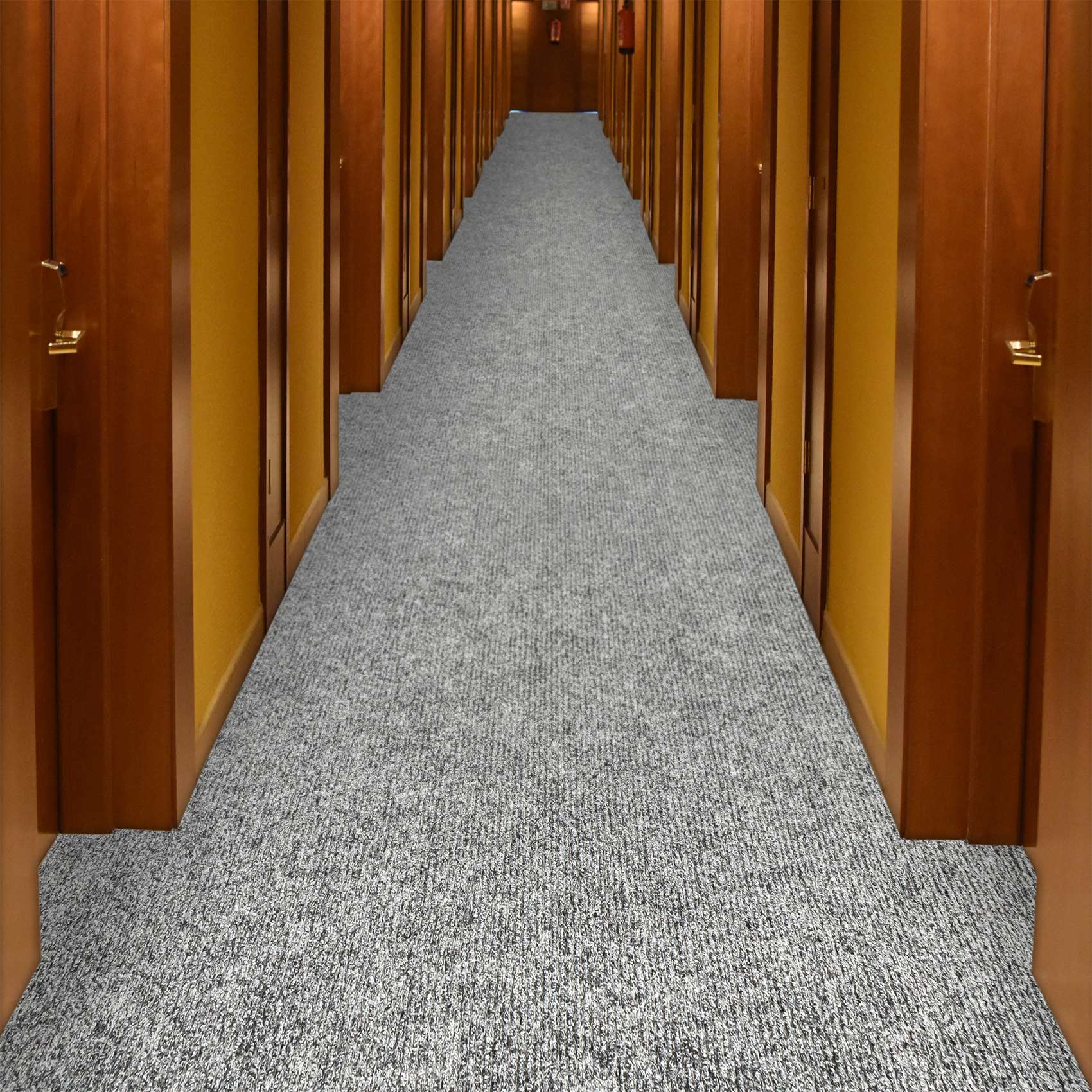 STRIGRAU_50