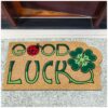 EF21725_10 Fußmatte Schmutzfangmatte Fußabtreter Sauberlaufmatte Kokarda 40x70cm – Good Luck 40x70cm