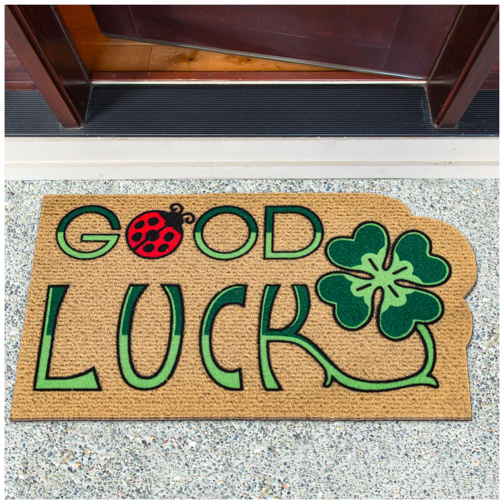 EF21725_10 Fußmatte Schmutzfangmatte Fußabtreter Sauberlaufmatte Kokarda 40x70cm – Good Luck 40x70cm