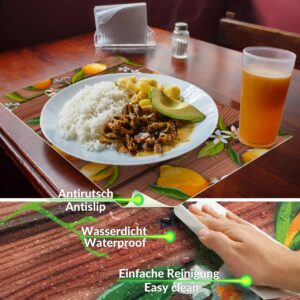 Tischset Platzsets Platzdeckchen abwaschbar Tischuntersetzer PVC hitzebeständig Zitrone Braun Grau 35x50cm