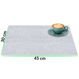 Tischset Platzset Platzdeckchen abwaschbar Tischuntersetzer PVC hitzebeständig Uni Leinen light 30x45cm