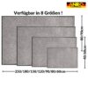 VAM-SMA-GRAU_71 Schmutzfangmatte Fußmatte AMIGO Sauberlaufmatte Schmutzmatte mit Gummirand für innen & außen 8 Größen Grau – 40 x 60 cm