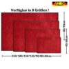 Schmutzfangmatte Fußmatte AMIGO Sauberlaufmatte Schmutzmatte mit Gummirand für innen & außen 8 Größen Schwarz – 40 x 60 cm