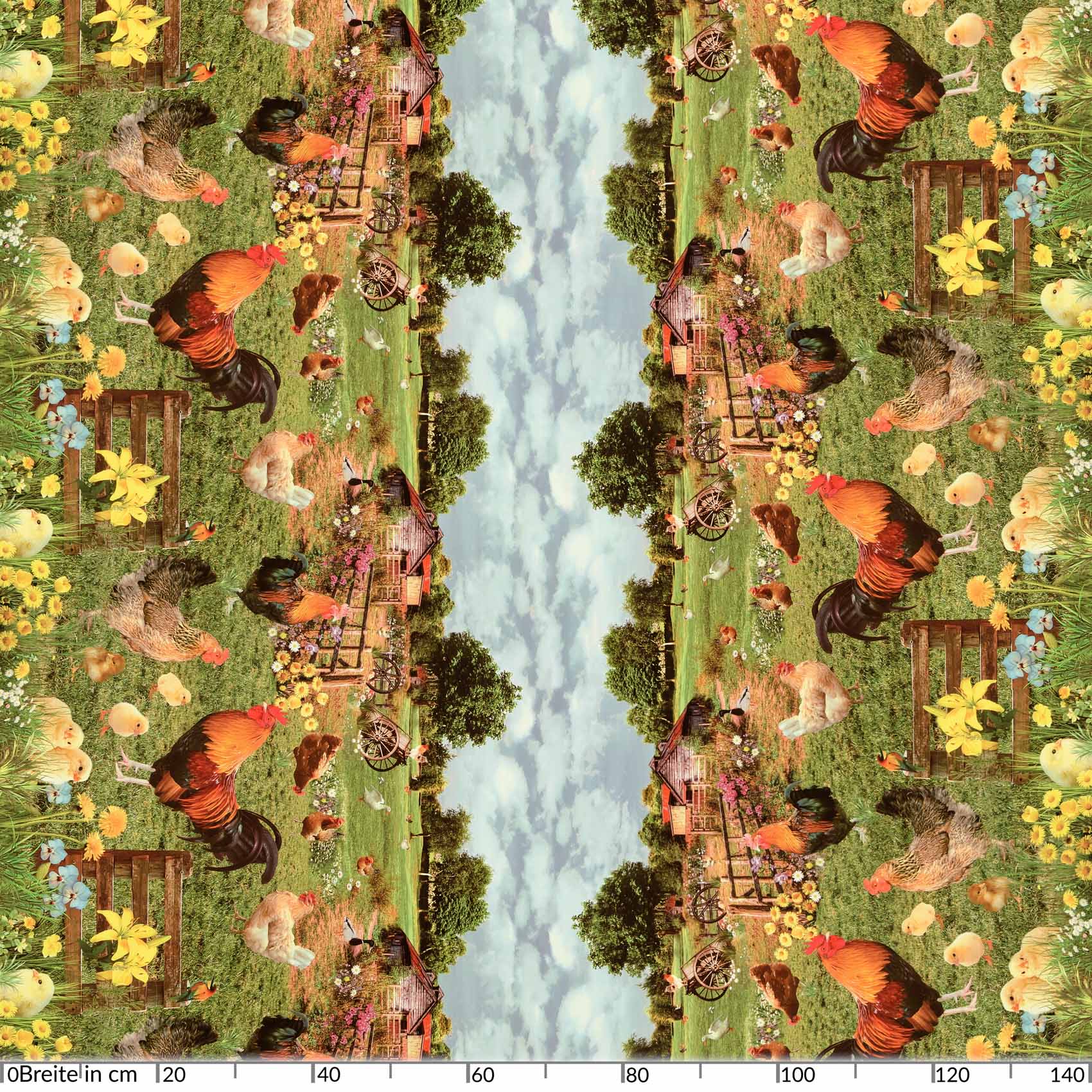 D0022A_20-jpg D0022A_20.jpg