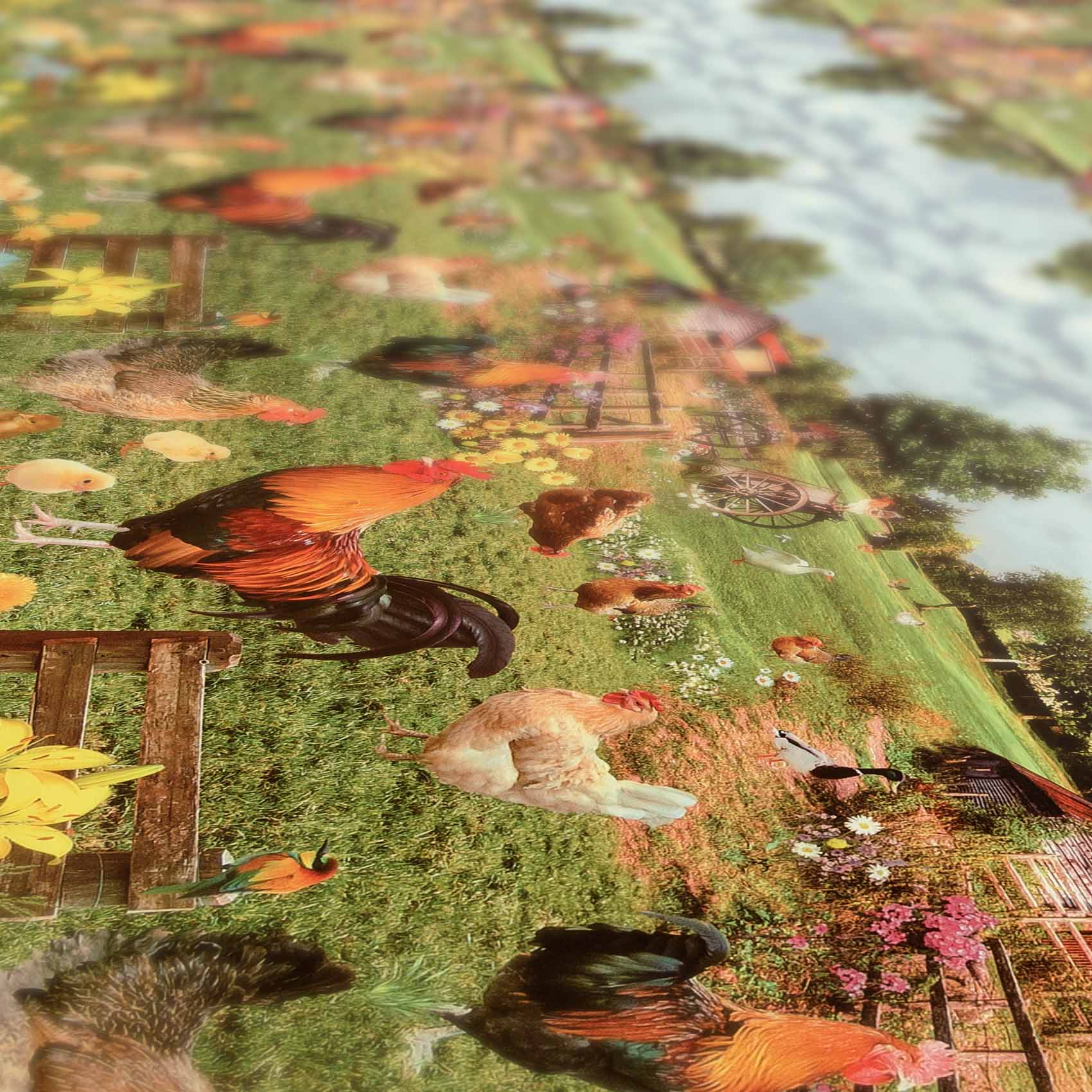 D0022A_30-jpg D0022A_30.jpg