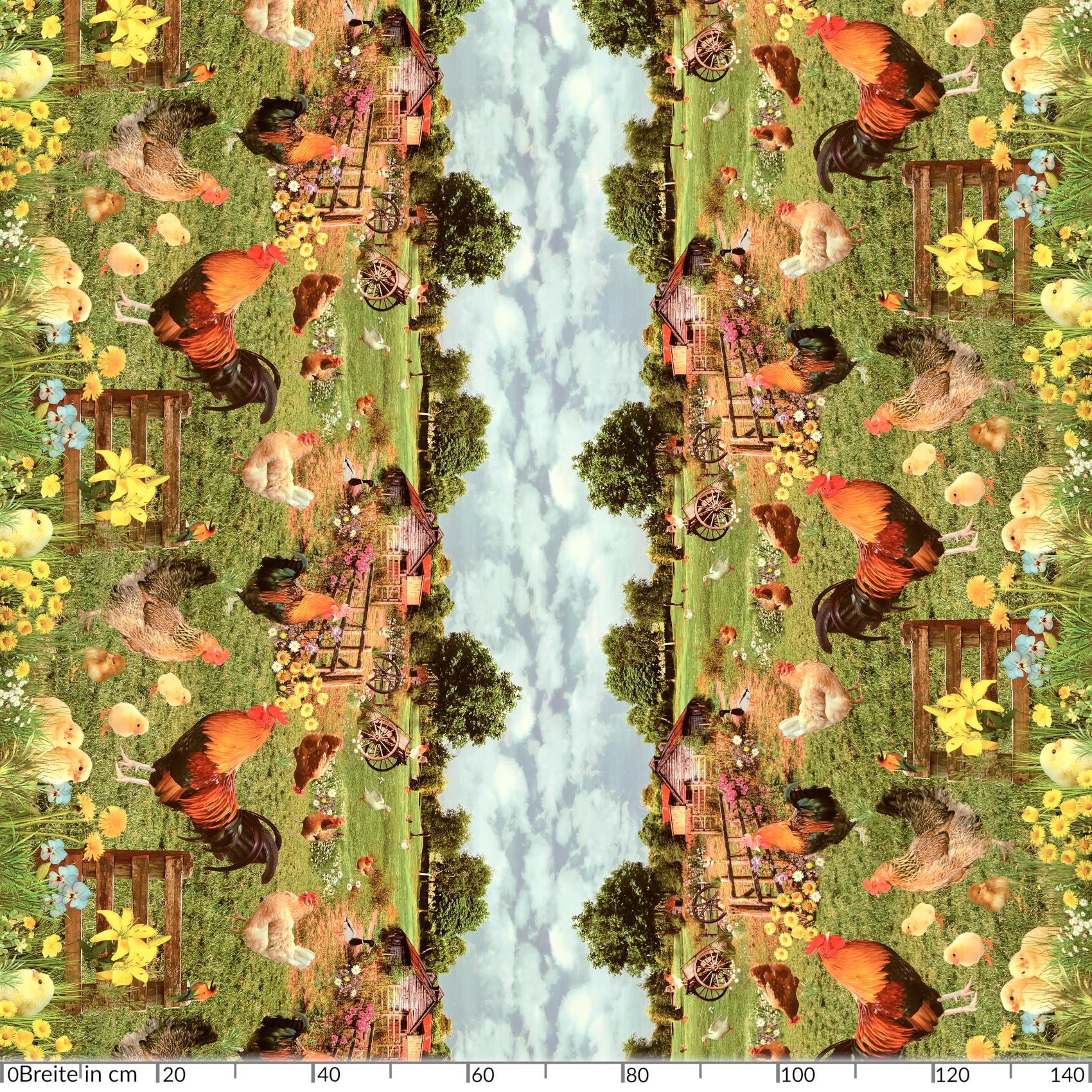 D0022A_20_ANRO-jpg D0022A_20_ANRO.jpg