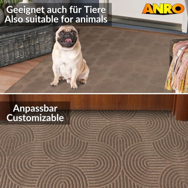 VEL-100-BRAU_50