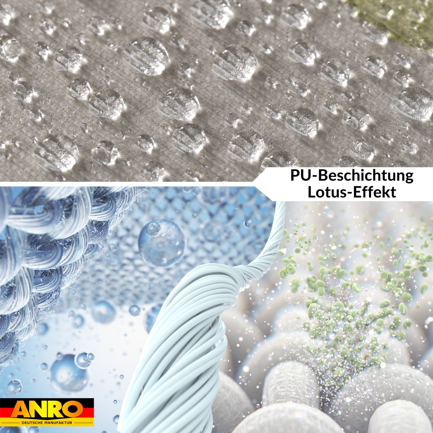 GTGNOVA-12_40 GTGNOVA-12_40