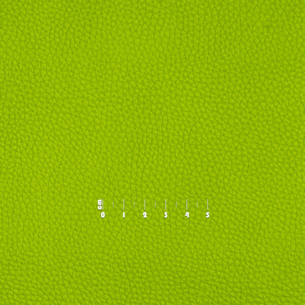 E13T83_40.jpg
