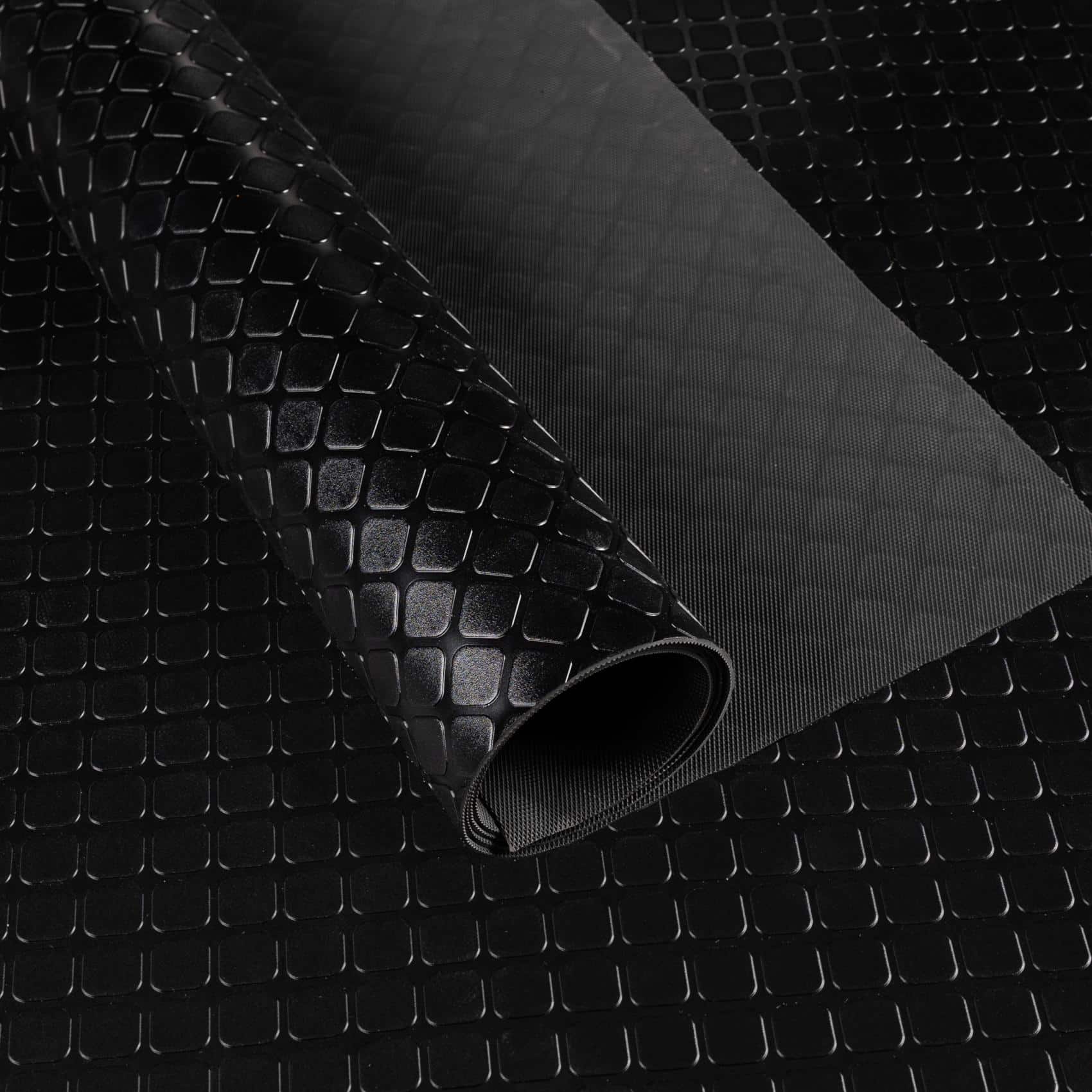 DIO-KAR-SCH_10 DIO-KAR-SCH_10