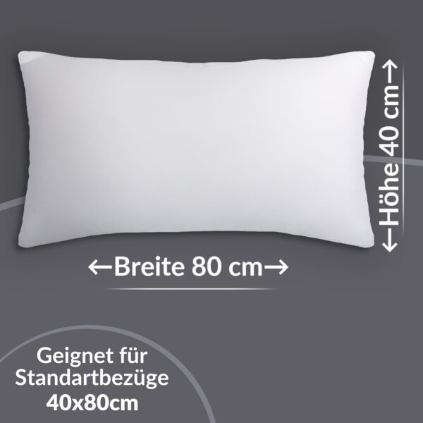 RG40x80_20