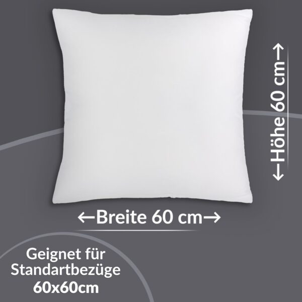 RG60x60_20