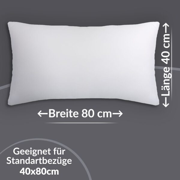 RG40x80_20