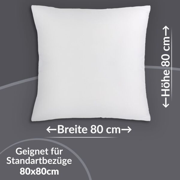 RG80x80_20