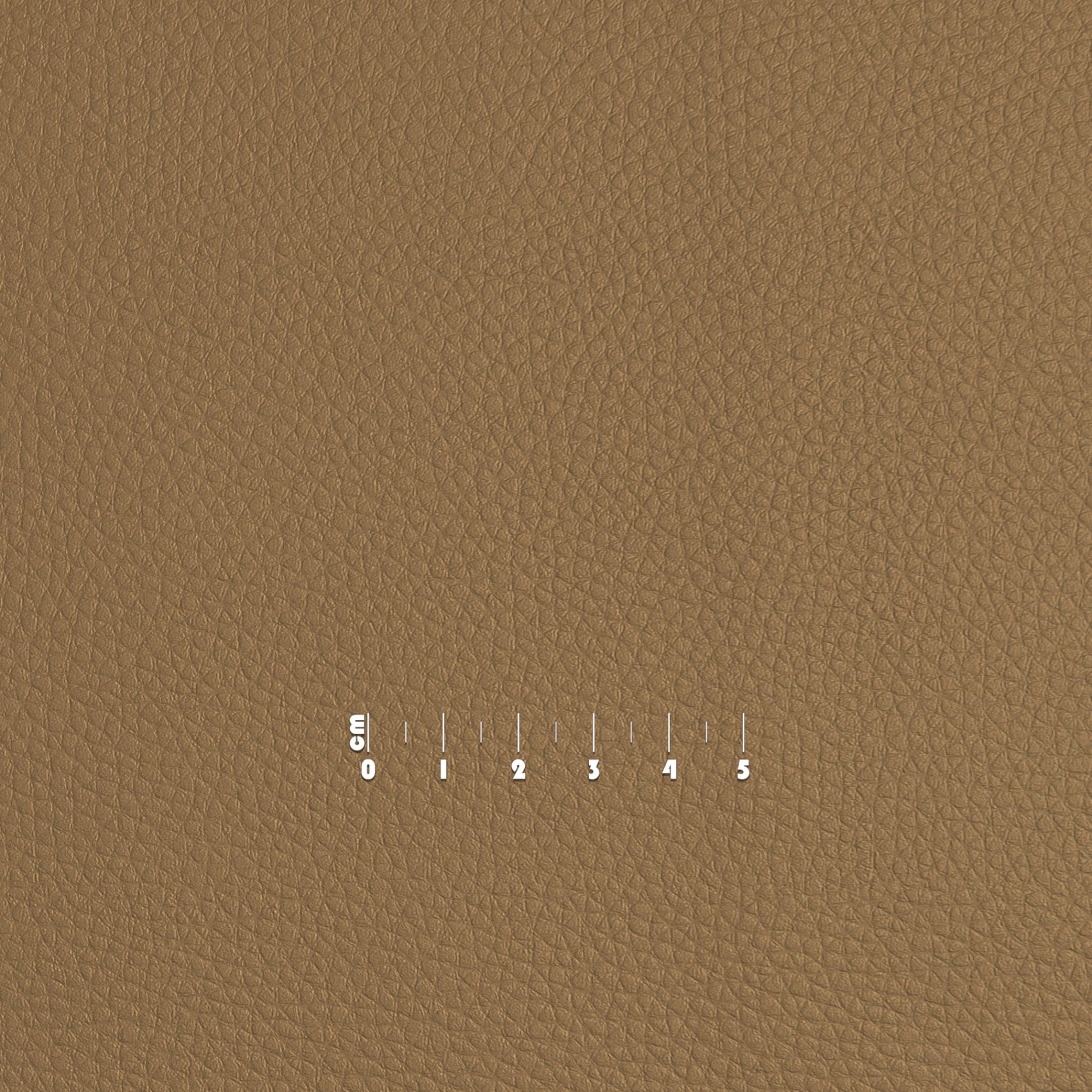 E13T64_40-jpg E13T64_40.jpg