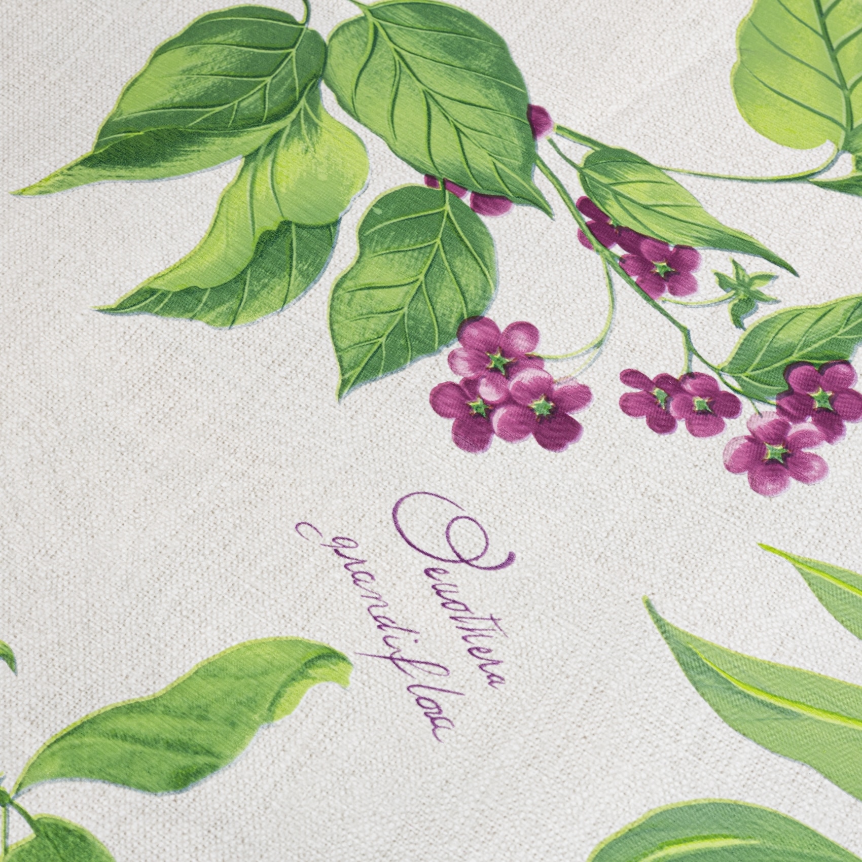 MP0BA30_2 Wachstischdecke Wachstuch Tischdecke abwaschbar Gartentischdecke pflegeleicht Lavanda