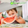 TTPL7932_60A Tischset Platzsets Platzdeckchen abwaschbar Tischuntersetzer PVC – Ansicht 15