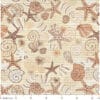 DM193B_20-jpg Seestern Muscheln Beige 70x50cm – Ansicht 2