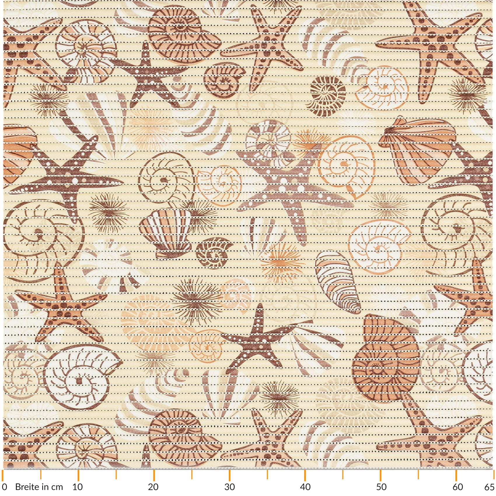 Seestern Muscheln Beige 70x50cm