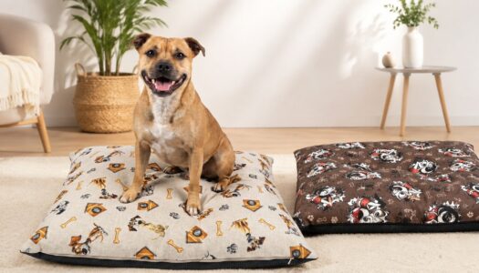 Neu im Shop: Hundekissen – Gemütlicher Wohlfühlplatz für Ihren Vierbeiner